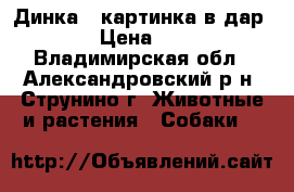 Динка – картинка в дар! › Цена ­ 1 - Владимирская обл., Александровский р-н, Струнино г. Животные и растения » Собаки   